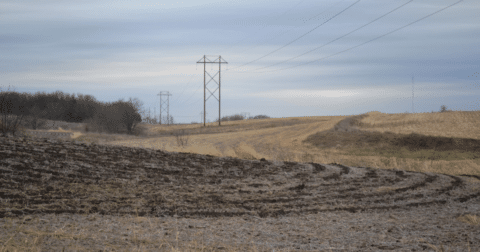 A field of hog manure
