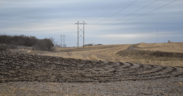 A field of hog manure