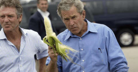 George W. Bush holding an ear of corn