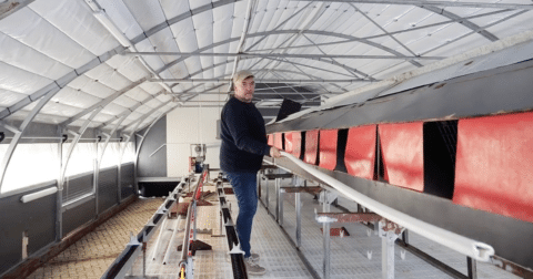 An organic farmer in an empty farm building