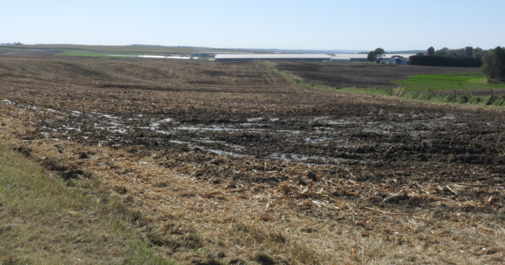 Manure covering a field of grass