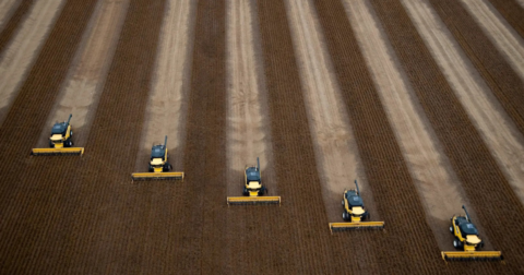 A group of tractors working through a field