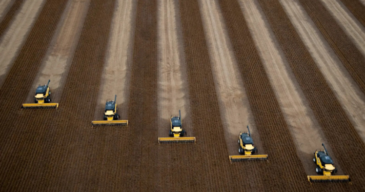 A group of tractors working through a field