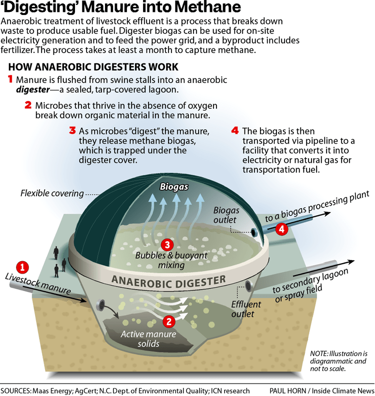 How an anaerobic biodigester works