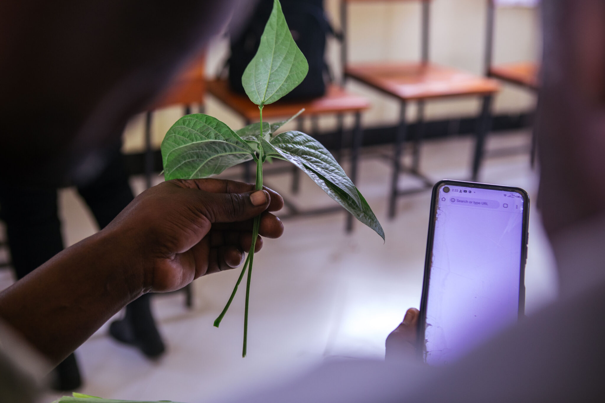 A person holding a plant in one hand and a phone in anotherr