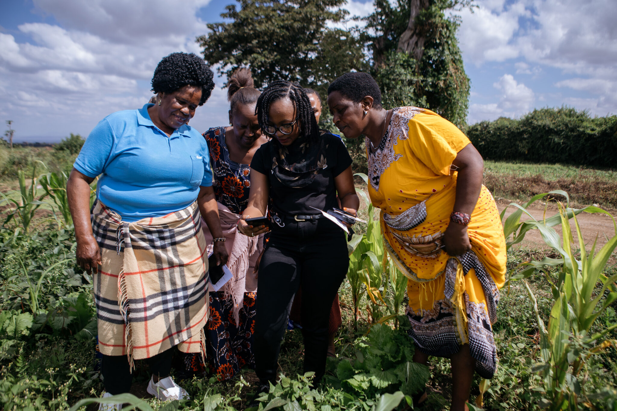 A group of people examining crops