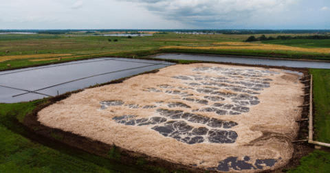 A dirty, foaming pond