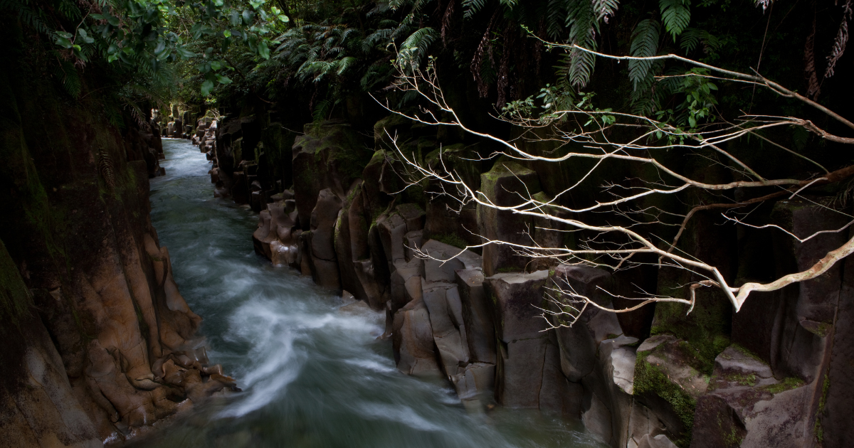 Can ‘Personhood’ Really Protect Nature?