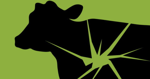 A green graphic of a cow