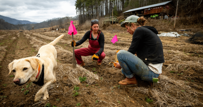 Two people working on a farm with a dog nearby