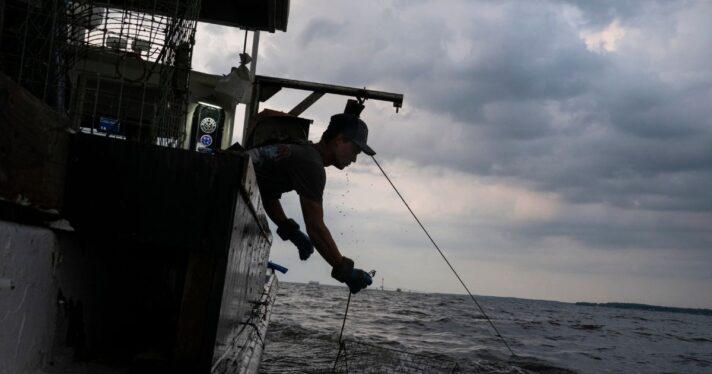 USDA Announces Seafood Office