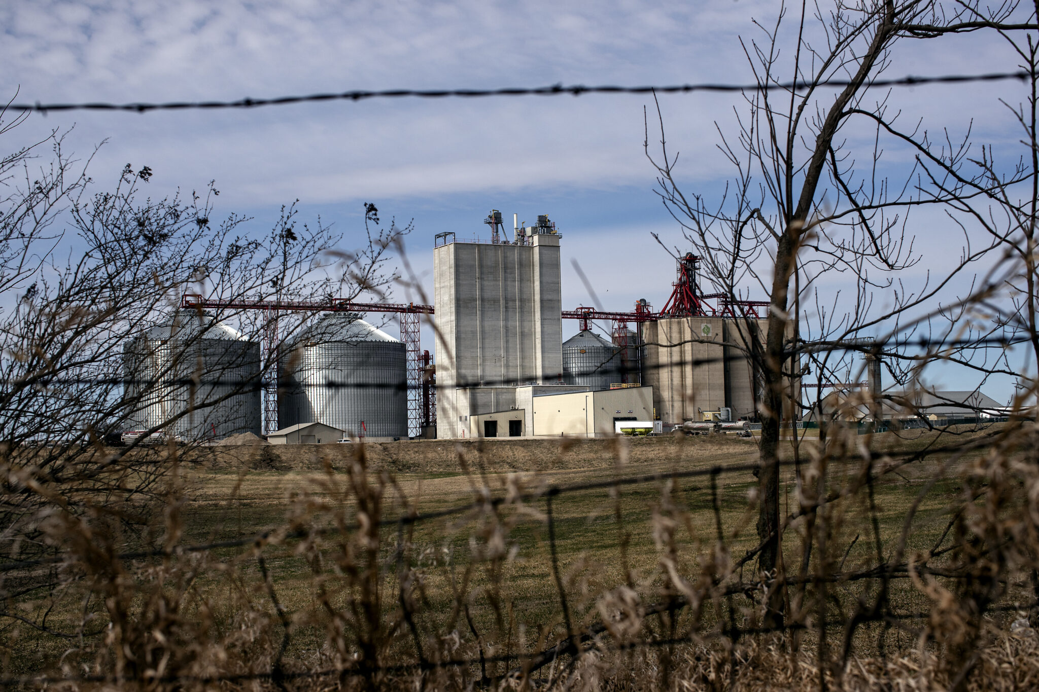 A feed mill in the distance