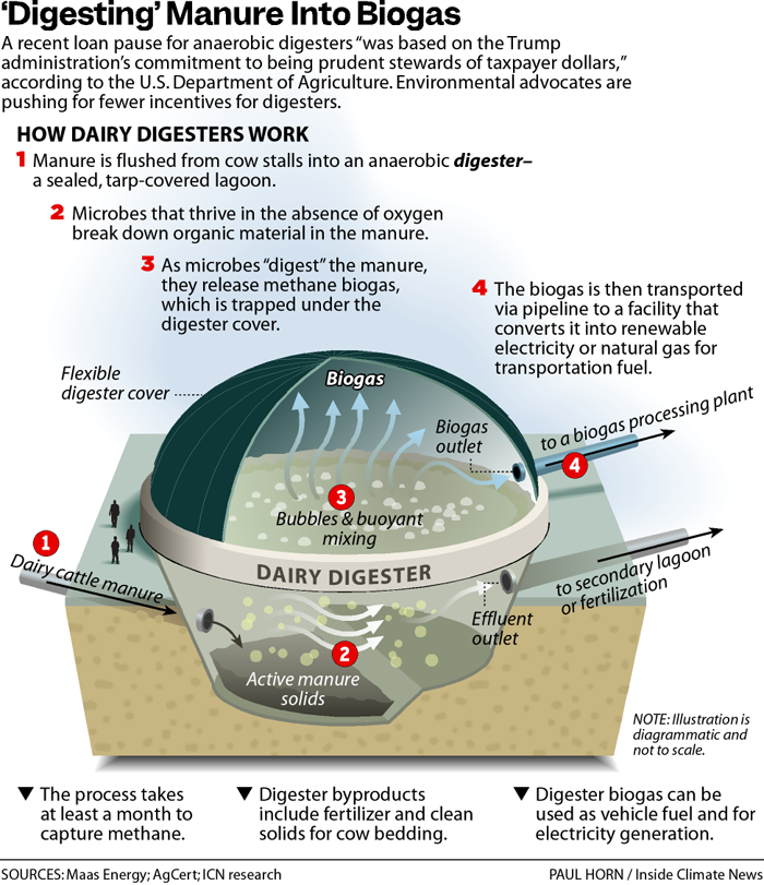 An infographic showing how dairy digesters