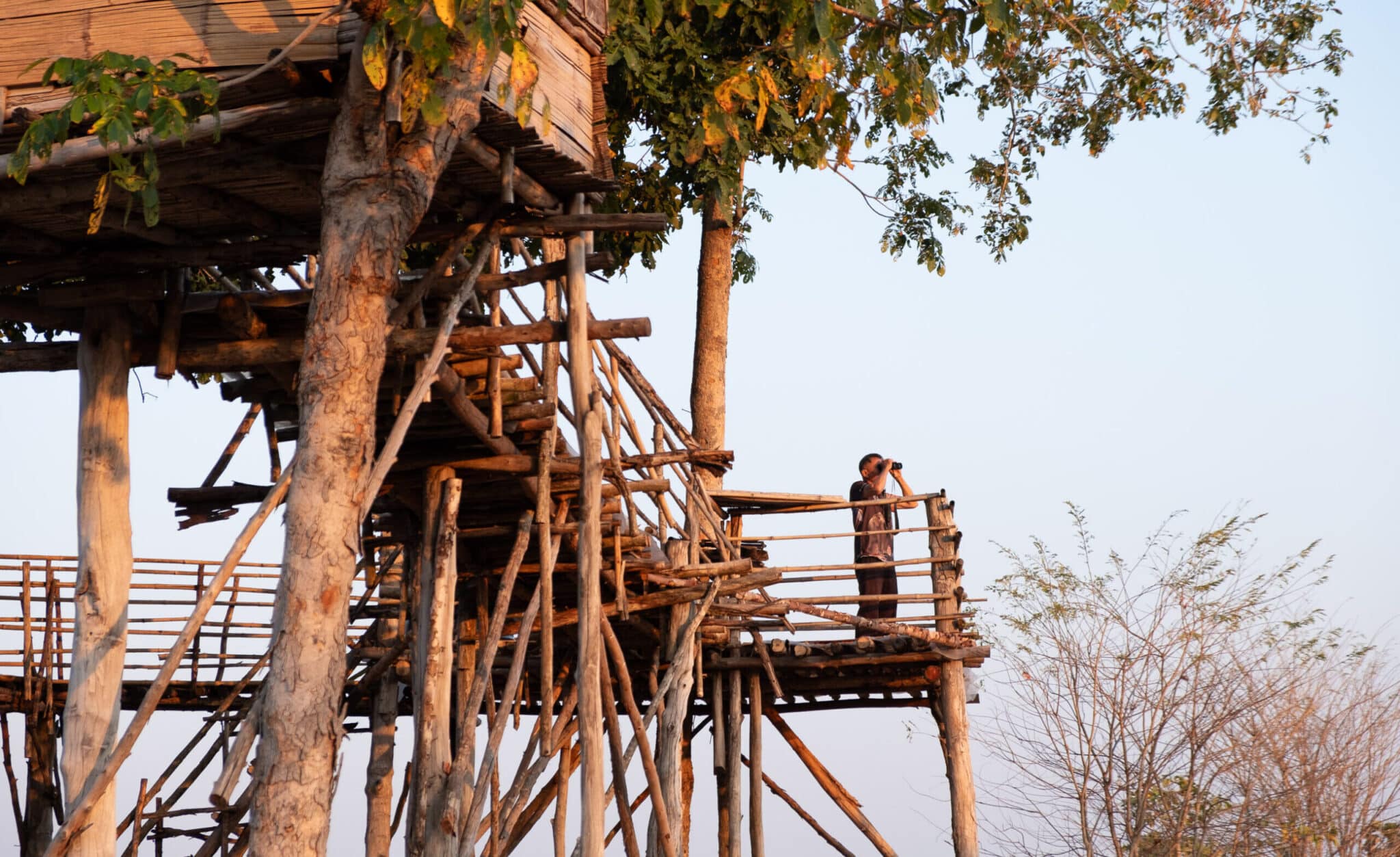 A person looking out with binoculars from a wildlife watching platform