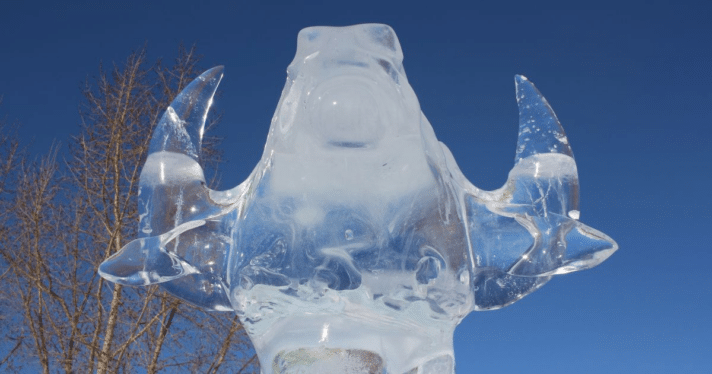 An ice sculpture of a cow