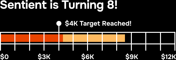 Donation thermometer design showing a target