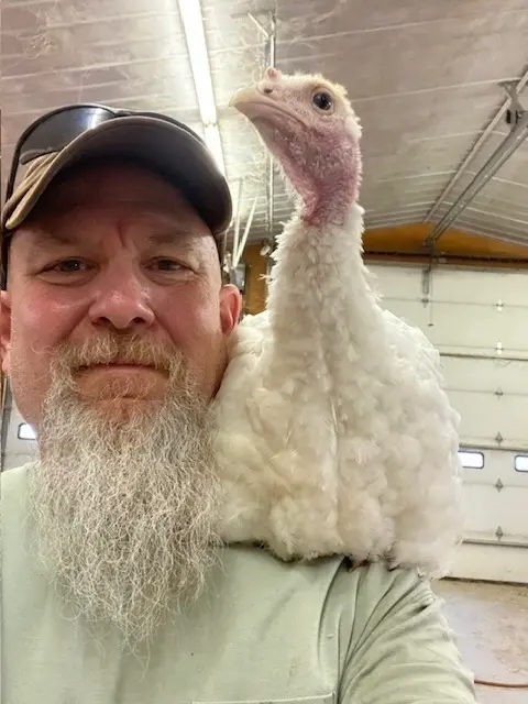 A man with a young turkey on his shoulder