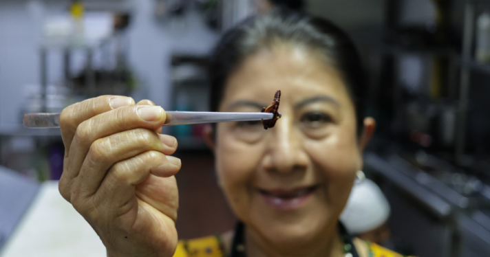 A person holding an insect for food