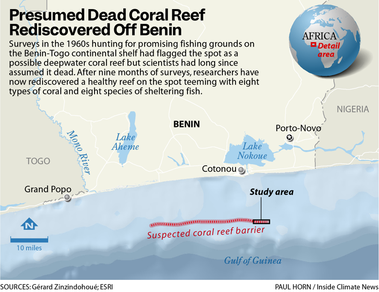 Details of a presumed dead coral reef
