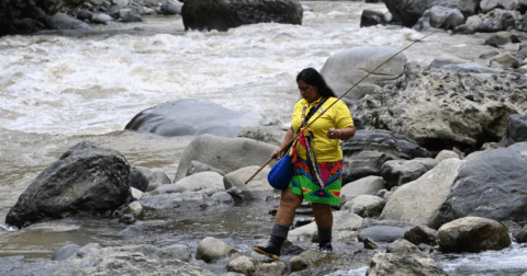 A person walking along a river bank