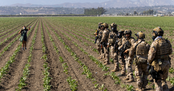 A woman raising her hands as Customs and Border Protection officers extend their skirmish line into a crop field during a raid