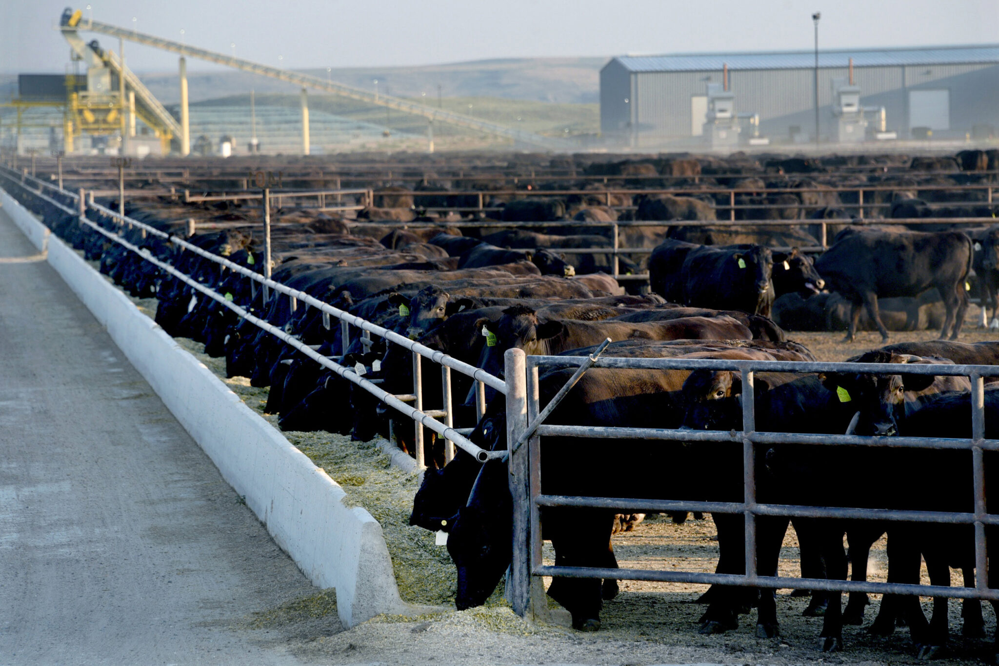 A confinement lot for cattle