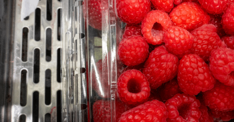 A container of raspberries in a store