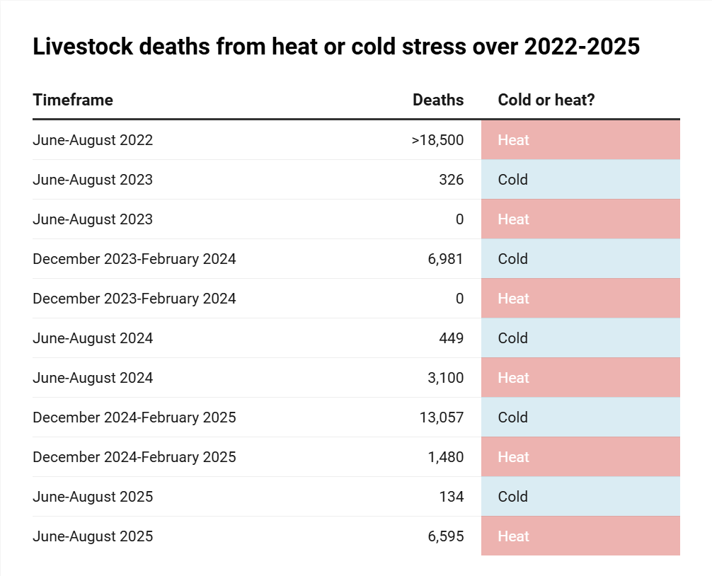 Table of UK livestock deaths from heat or cold stress over 2022-2025, showing 6,595 deaths from heat over June-August 2025.