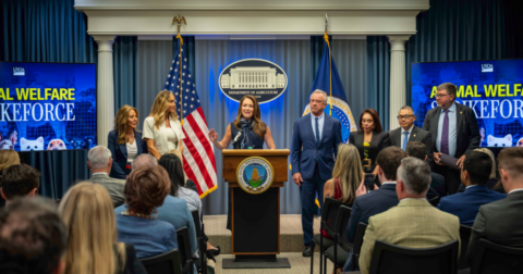 Secretary of Agriculture Brooke L. Rollins hosting a press conference