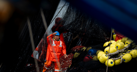 A fisherman on a boat doing fishing tasks