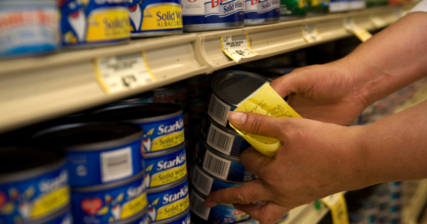 A person putting tuna cans on a grocery store shelf